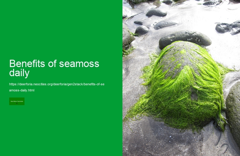 sea moss benefits and side effects